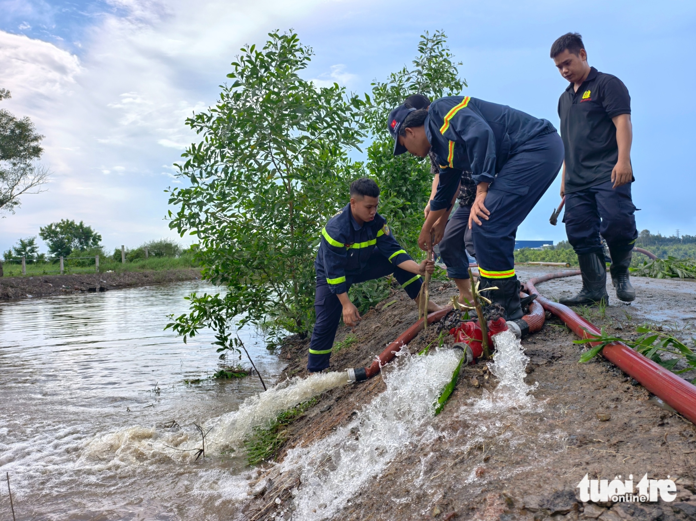努力抽水拯救平利数十公顷被淹的黄花